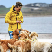 Hundar som är på en strand och väntar på att få godis av deras matte